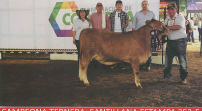 Competencia en Colombia de ganado Bovino